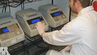 兽医诊断实验室