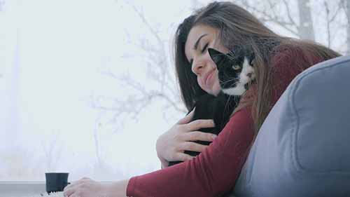 Dechra公司的兽药产品