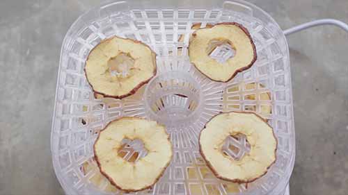 食品脱水机的十种食谱