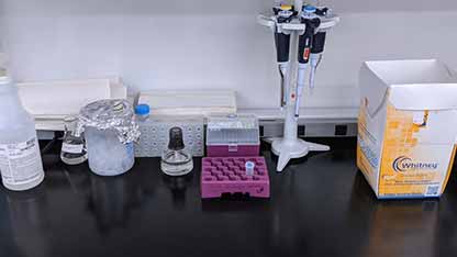 无菌技术的应用