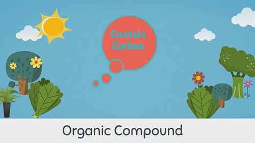 有机化合物和无机化合物的区别