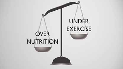 营养、肥胖与健康