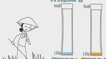 食品微营养素强化