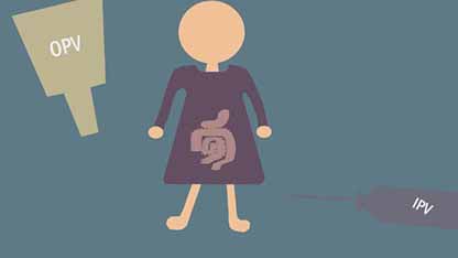 接种两种脊髓灰质炎疫苗更佳