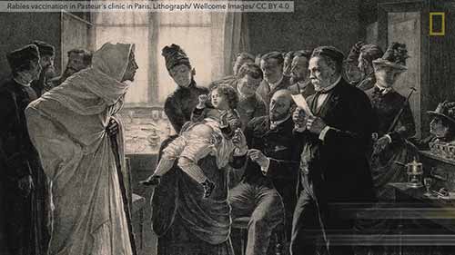 狂犬病疫苗是如何产生的