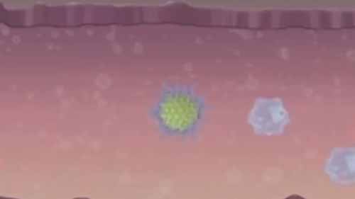 HPV疫苗如何起作用