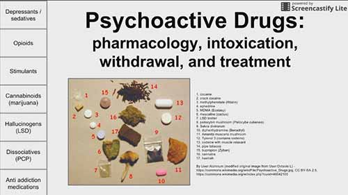 精神活性药物：药理、中毒、戒断和治疗