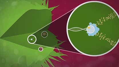 抗生素是如何起作用的