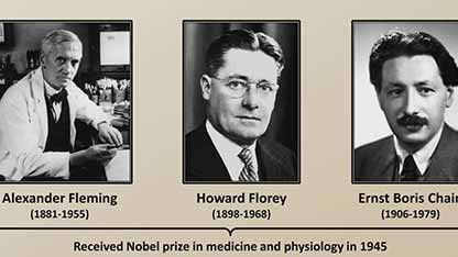 抗生素的作用机制和分类