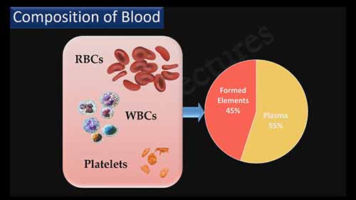 血浆、血清和抗血清
