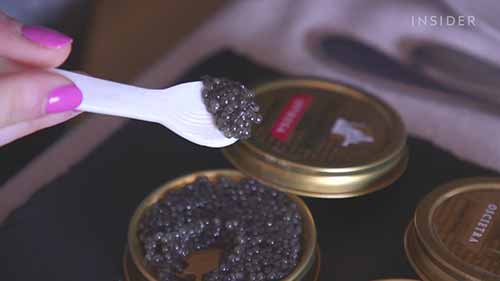 欧洲最大的鱼子酱厂