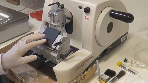 切片机的安全事项