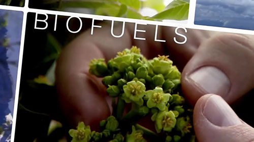 生物燃料：可再生喷气燃料