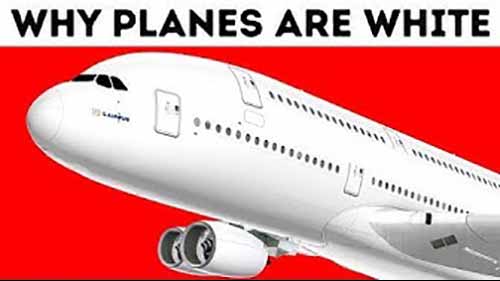 为什么飞机是白色的