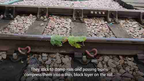 秋季准备工作：铁轨落叶