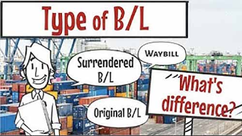 提单类型讲解