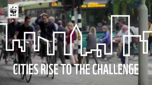 城市迎接挑战——可持续交通