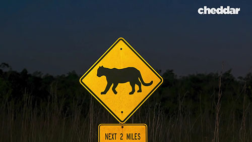 路标形状的由来