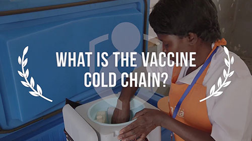 什么是疫苗冷链？