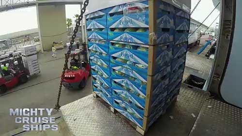 邮轮巨无霸：一艘邮轮需要多少食物？