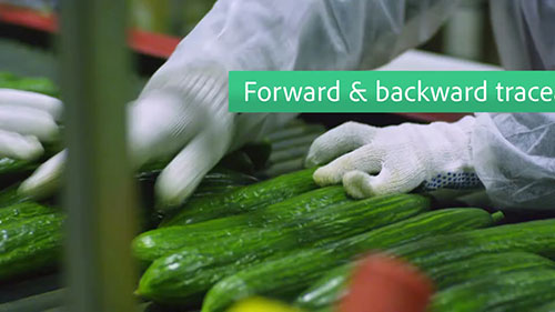 食品供应链溯源与可视化平台 — rfxcel