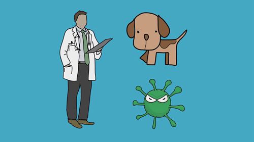 什么是自然语言处理