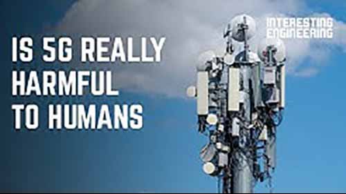 5G对人类安全吗