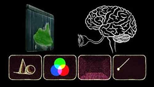 动画基础： 动态的错视