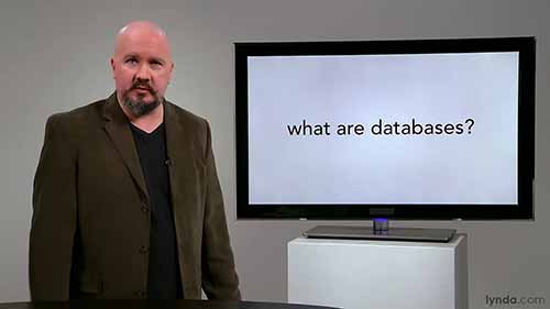 数据库编程教程：什么是数据库