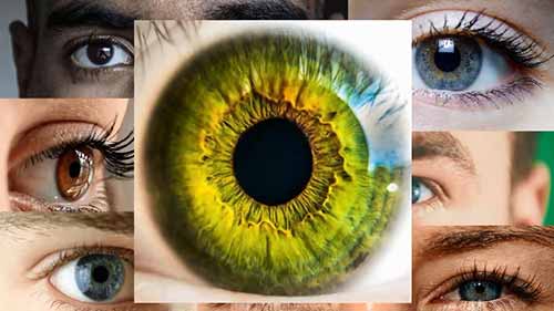 计算机视觉的工作原理