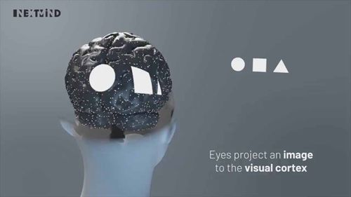 VR控制器的未来