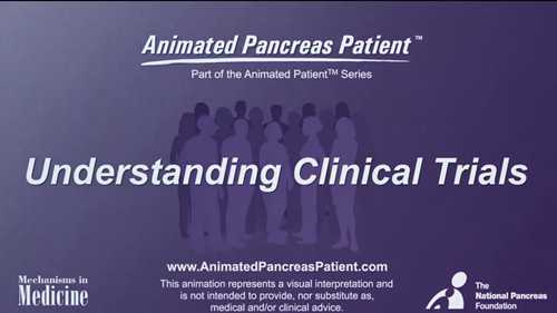 临床试验概述