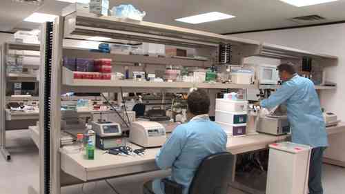 临床前CRO服务商