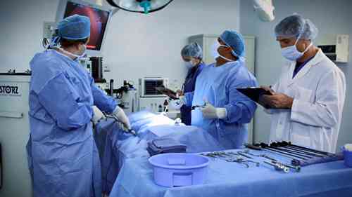 临床前CRO龙头企业