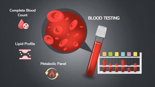 用于临床诊断的血液分离工具