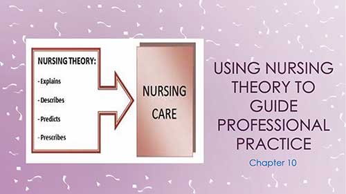 用护理理论指导专业实践