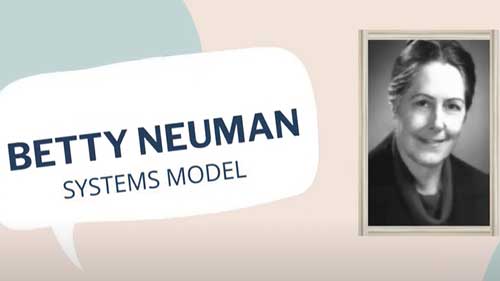 纽曼与健康系统模式
