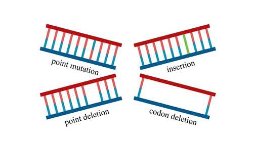 小分子药物与KAND