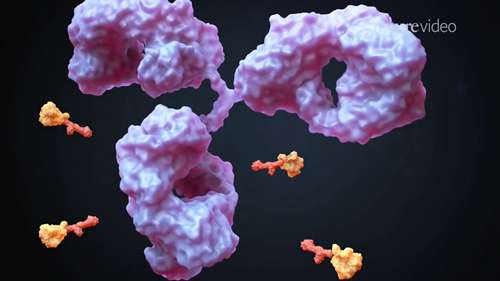 抗体偶联药物的挑战