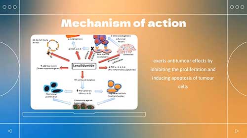 抗肿瘤靶向药：来那度胺
