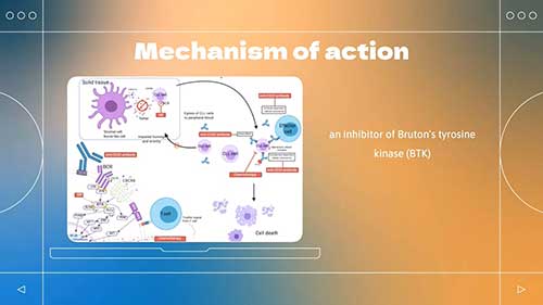 抗肿瘤靶向药：依鲁替尼