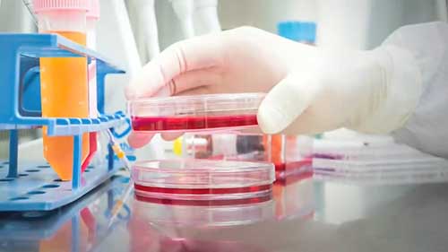 让机器人和AI来研发药物