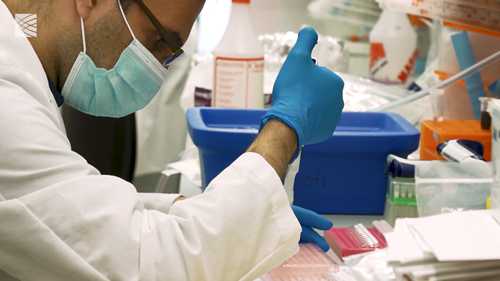 改善肌肉疾病的基因治疗技术