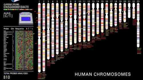 CRISPR-Cas9基因组编辑技术