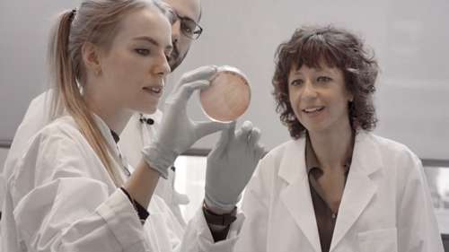 CRISPR-Cas9基因编辑技术的创始人