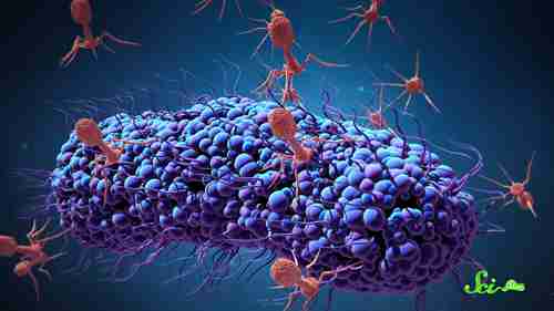 CRISPR不仅仅是基因编辑