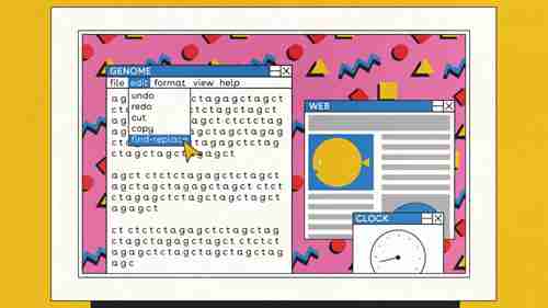 CRISPR如何编辑DNA