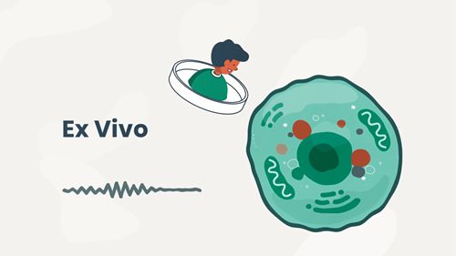 基因治疗的基础