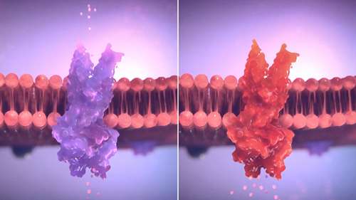 基于基因的囊肿性纤维化治疗