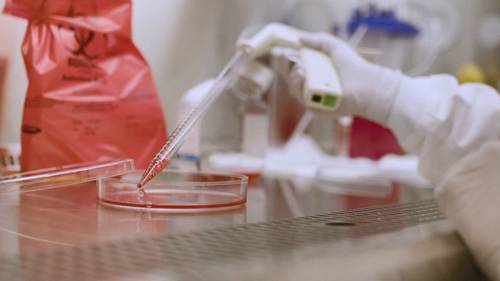 基因治疗与腺相关病毒载体